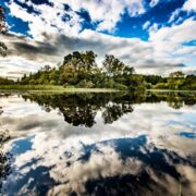 Forestry on a lake in Cavan.