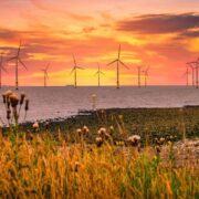 Offshore wind turbines.