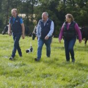 Farming family walking in field with cows.